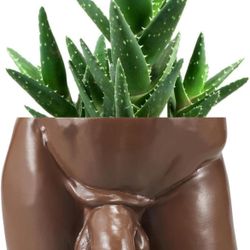 Body Vase Christmas Valentine's Day Gift Unique Planter