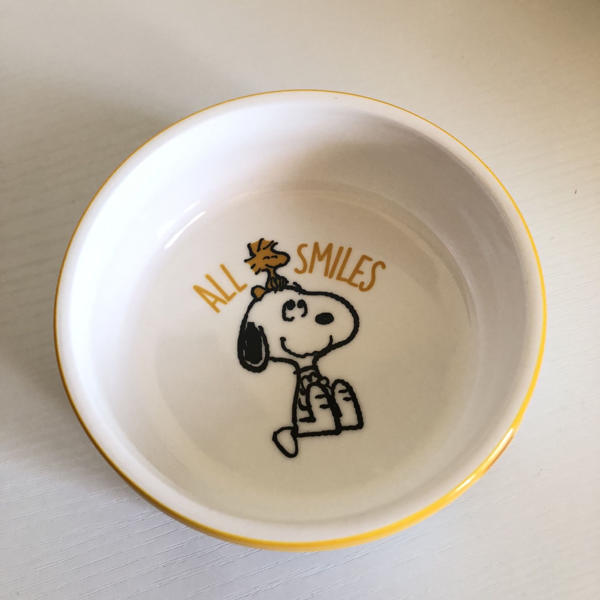 Rae Dunn Snoopy And Woodstock Pet Food Small Bowl Gulp 