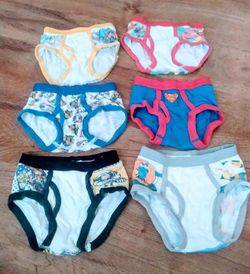 Little Boy's Character Underwear Bundle Lot 