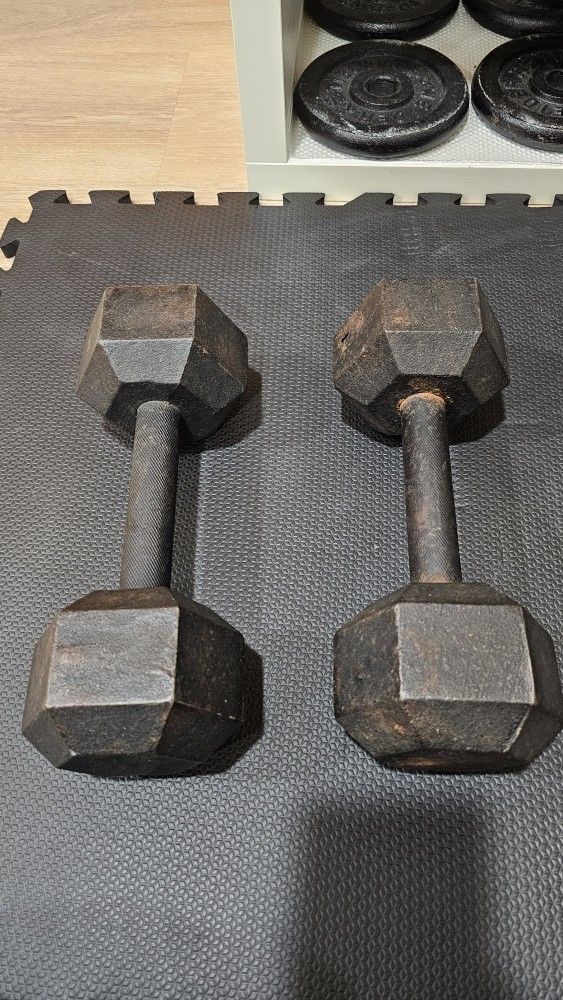 20 Lb Cast Iron Dumbbells 
