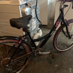 Susan G Komen Bike