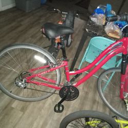 Performance Schwinn Bike