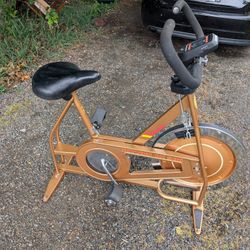 Great Condition. Rare Vintage Mid century Schwinn Deluxe Exerciser Bike DX 900 Coppertone Copper