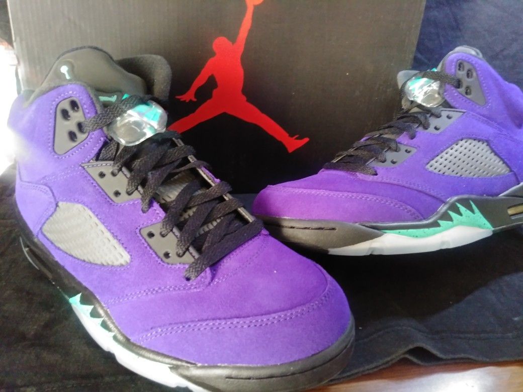 Jordan Retro Alternate Grape 5's