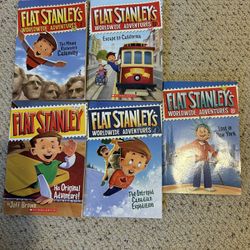 Flat stanley Books