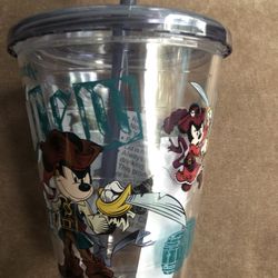 Disneyland Tumbler