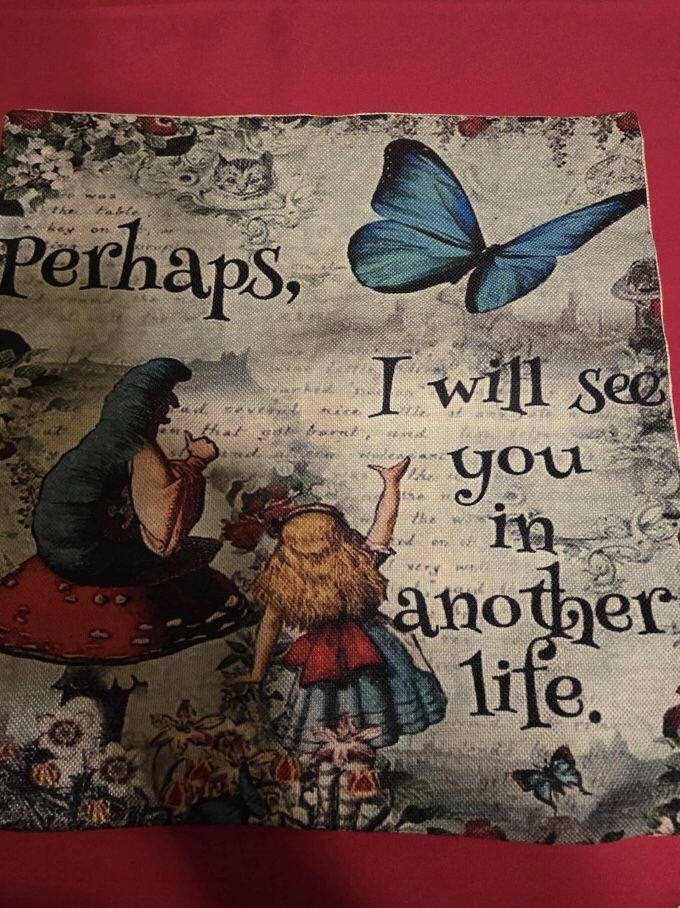 16” by 16” Alice in Wonderland pillow case