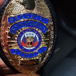Security Gold Metal Badge 