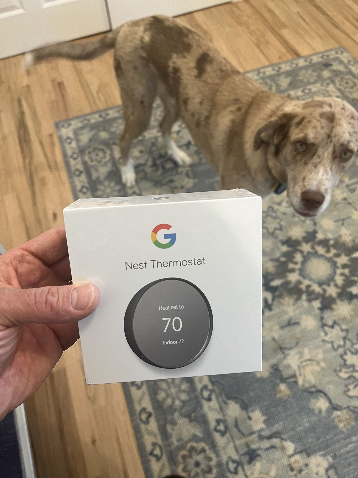 Google Nest Thermostat