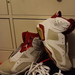 Jordan 6 Alternate Hare