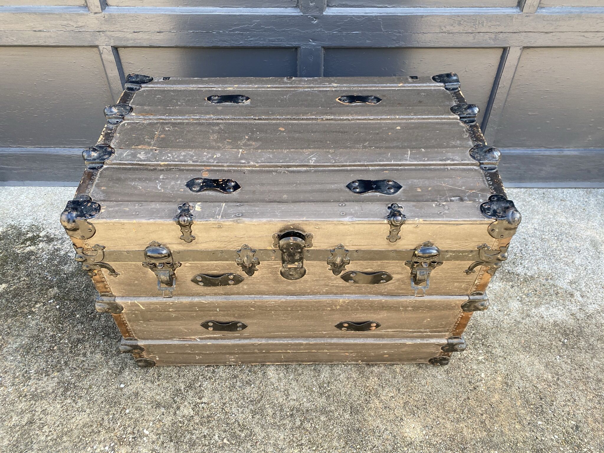 Gray painted trunk