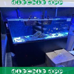 lead worry High-Quality Aquarium System - Premium Standard Choice