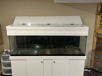 125 Gallon Aquarium With Stand And Canopy Thumbnail