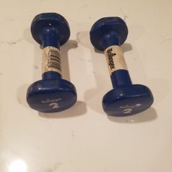 2 Lb Rubber Dumbbells