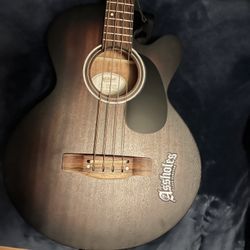 Acoustic Bass Guitar (Bajoloche)