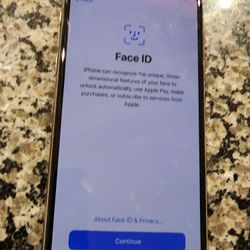 Spectrum Mobile iPhone 11 Pro Max 64gb