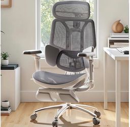 A35 Hbada E3 Ultra Ergonomic Office Chair