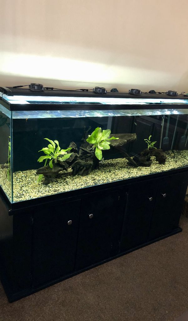 180 gallon fish tank aquarium for Sale in Victorville, CA