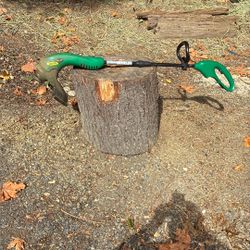 Electric Weed Eater - Works Great