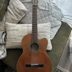 Electric Acoustic 