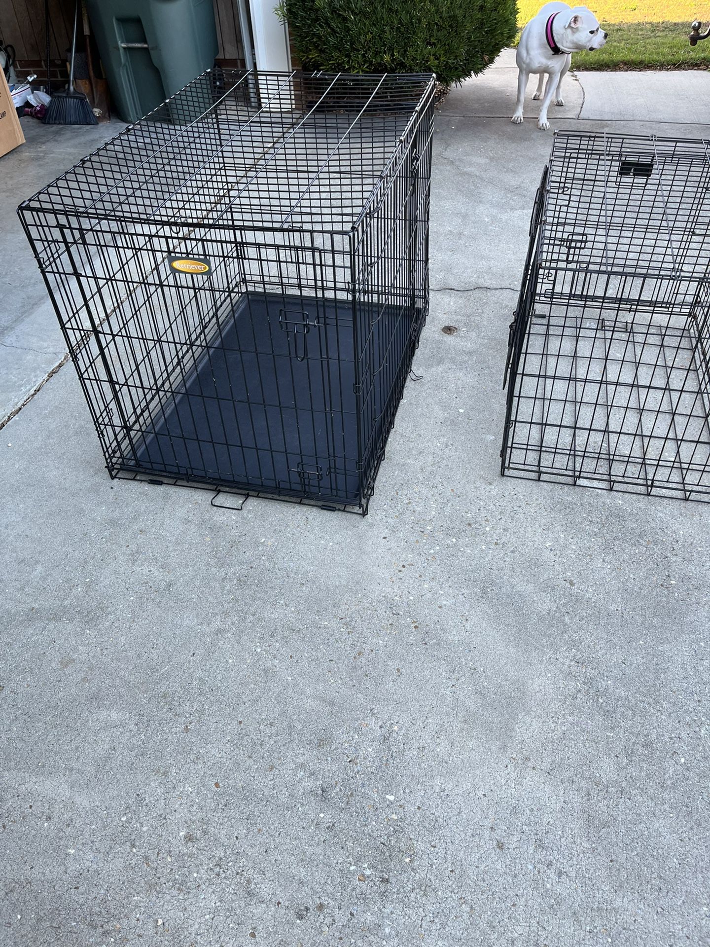 Extra Large Wire Dig Kennel 