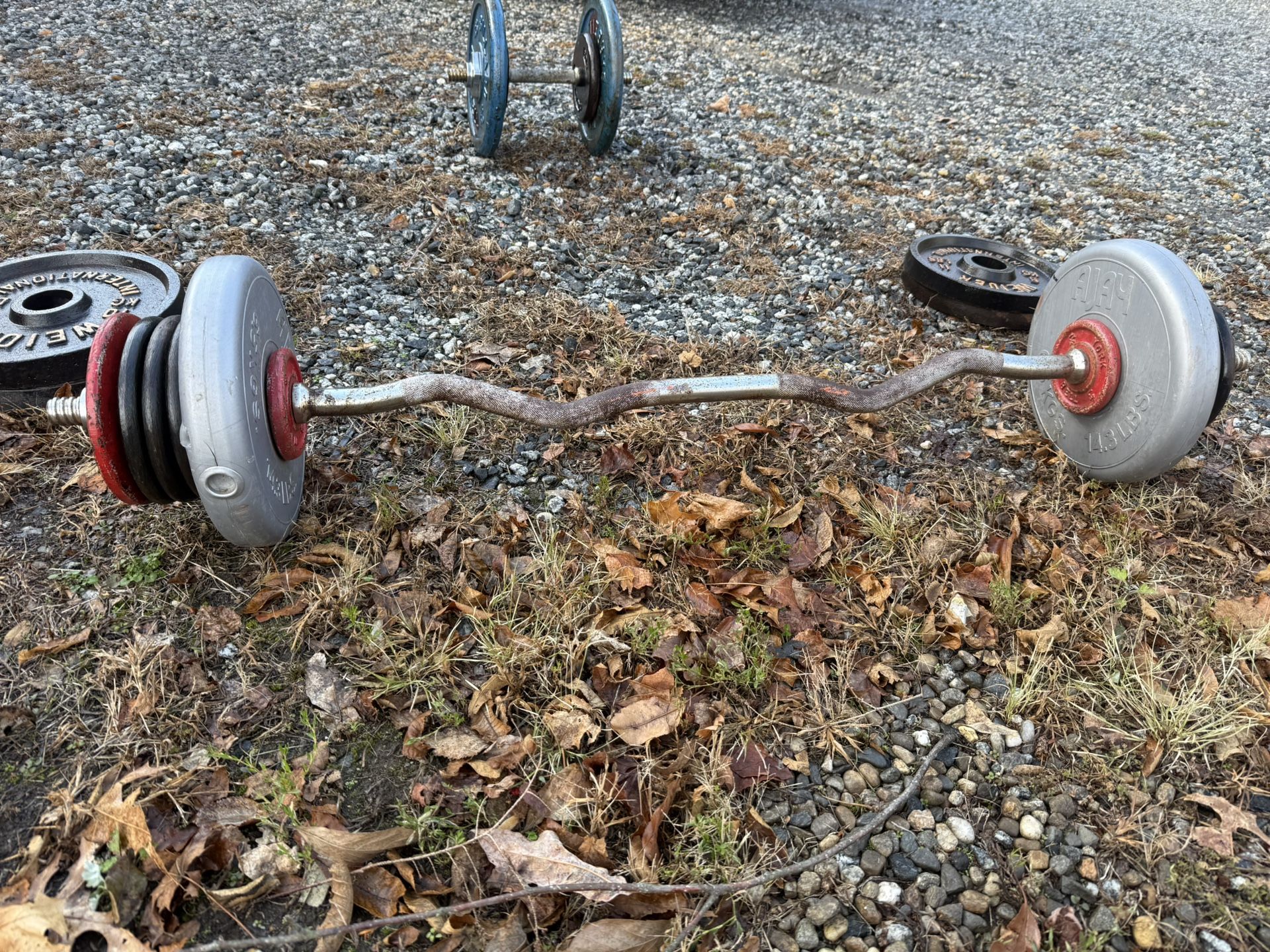 Curl Bar And Misc Weighs