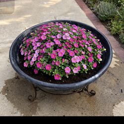 Large Outdoor Planter with Stand – Ready for Garden