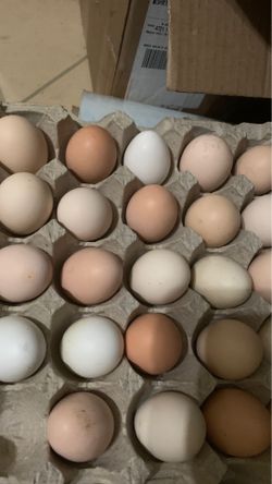 Eggs for sale