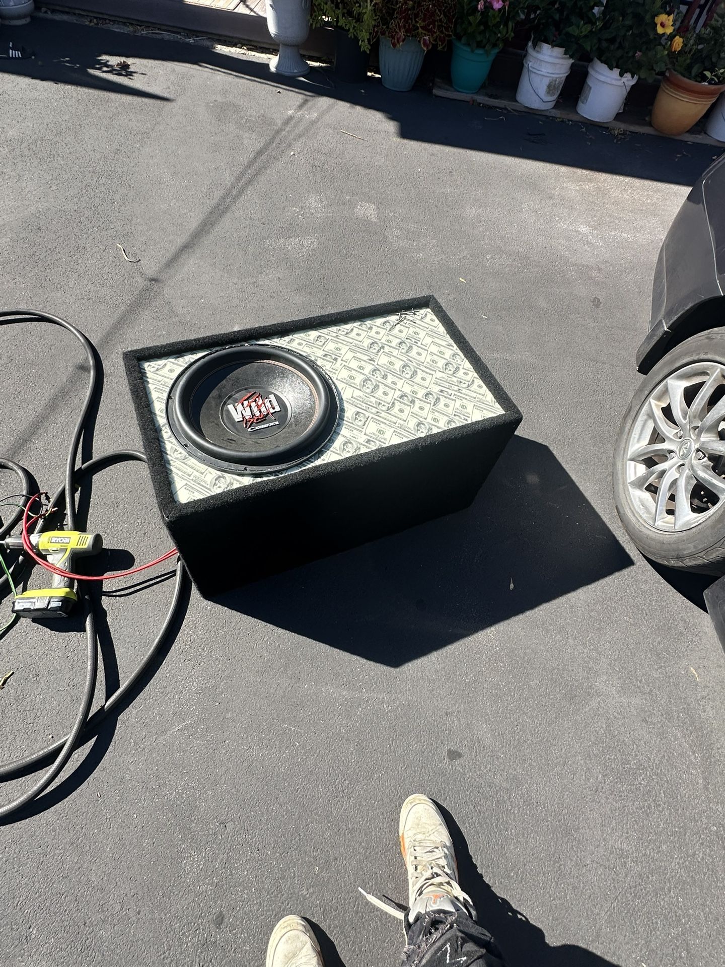 D2 3k Watt 15 inch Subwoofer Wild Beast Cadence