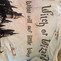 Harry Potter gender Reveal 