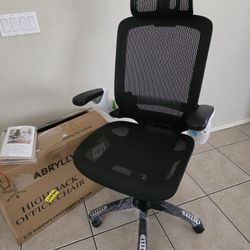 Gabrilly Ergonomic Office Chair