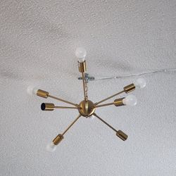 Plug In Ceiling Light For Sale