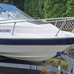 2006 Bayliner 192 Classic Cuddy