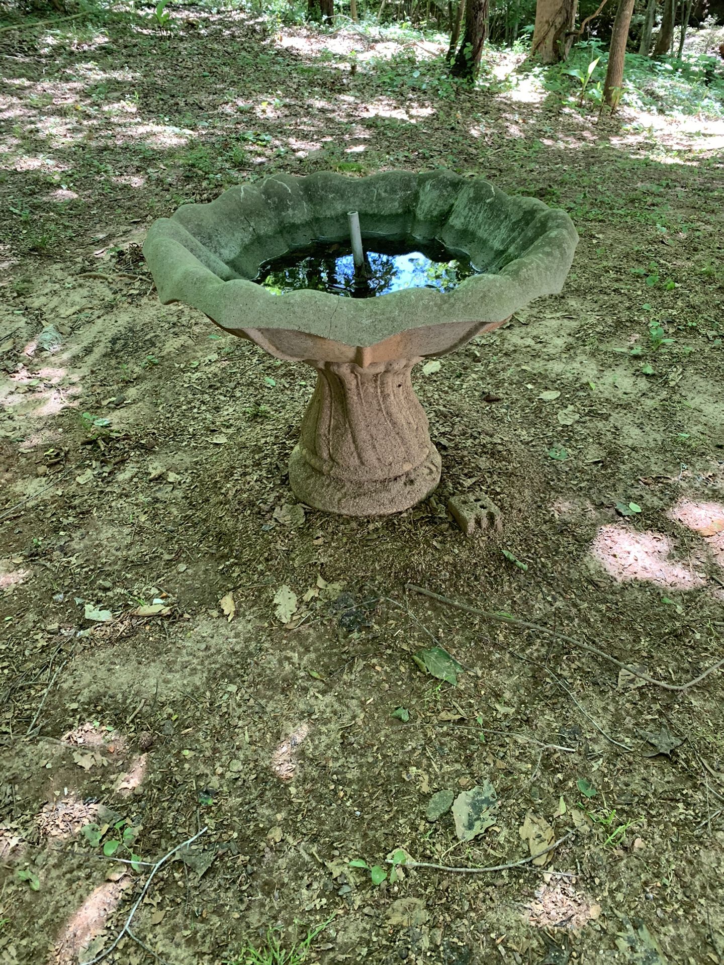 Old bird bath