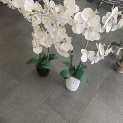 Artificial Orchids 