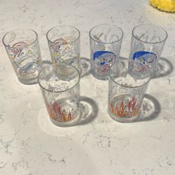 Disney World 25th Tumblers