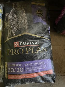 Dog Food