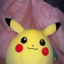 Squish Mellow  Pikachu