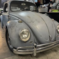 66 Vw Bug
