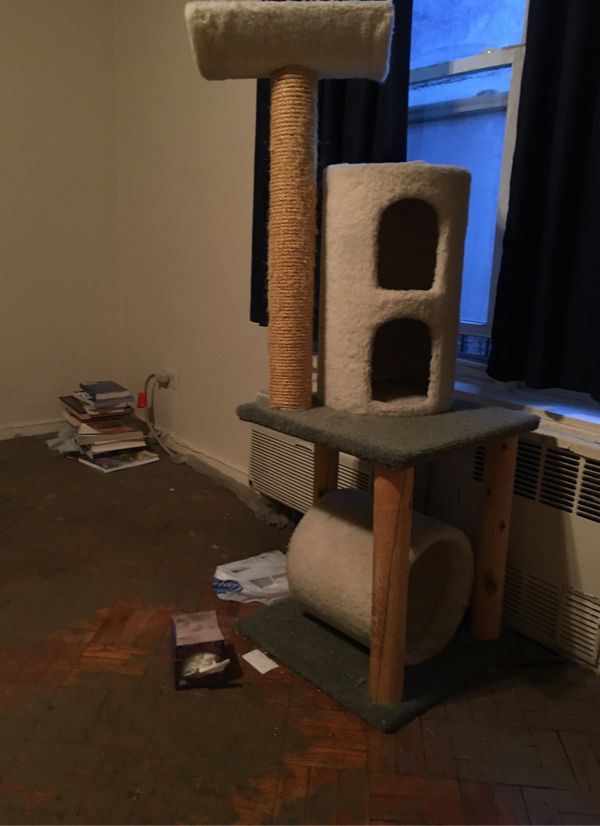 Cat tree for Sale in Queens, NY OfferUp