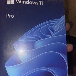 Microsoft - Windows 11 Pro