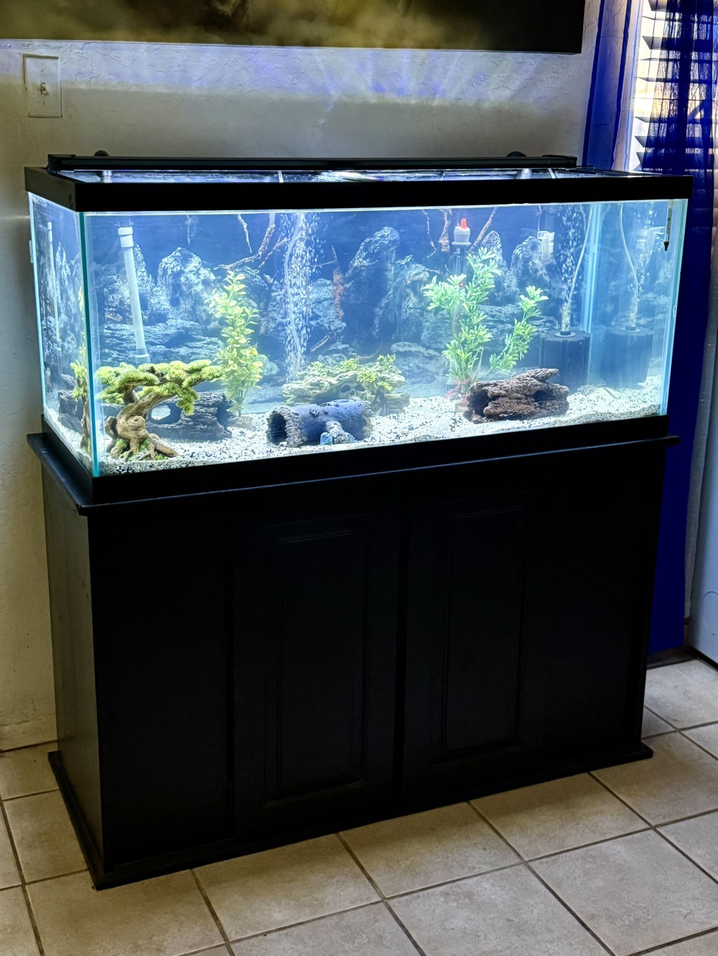 75 Gallon Tank Set Up for Sale in Phoenix, AZ - OfferUp