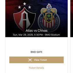 Atlas Vs Chivas Soccer Game