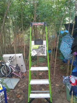 Little Giant MightyLite Fiberglass Stepladder,Werner 6 ft. Fiberglass Step Ladder (FS200 series, Type II)