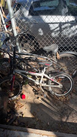 Pedal bikes