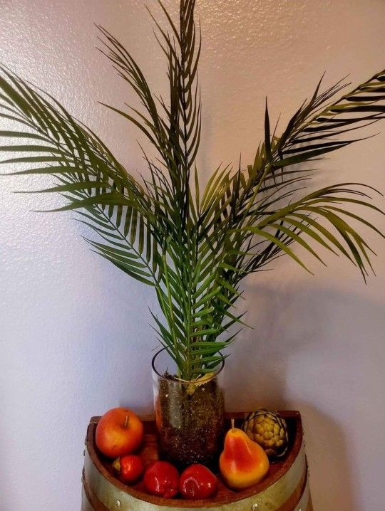 Artificial Plant