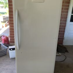Stand Up Freezer 