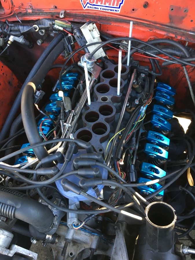 1.6 roller rockers 302 blue