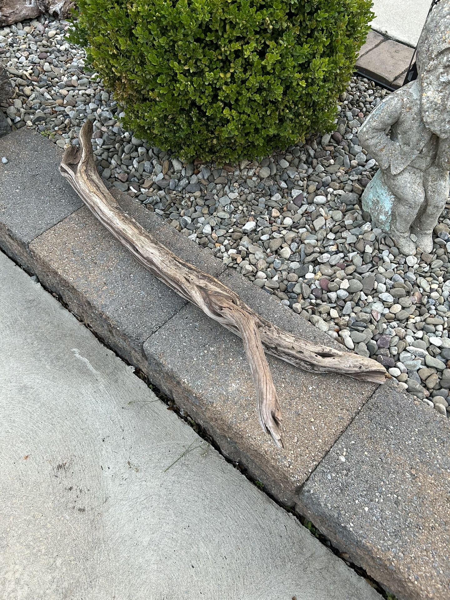 Driftwood