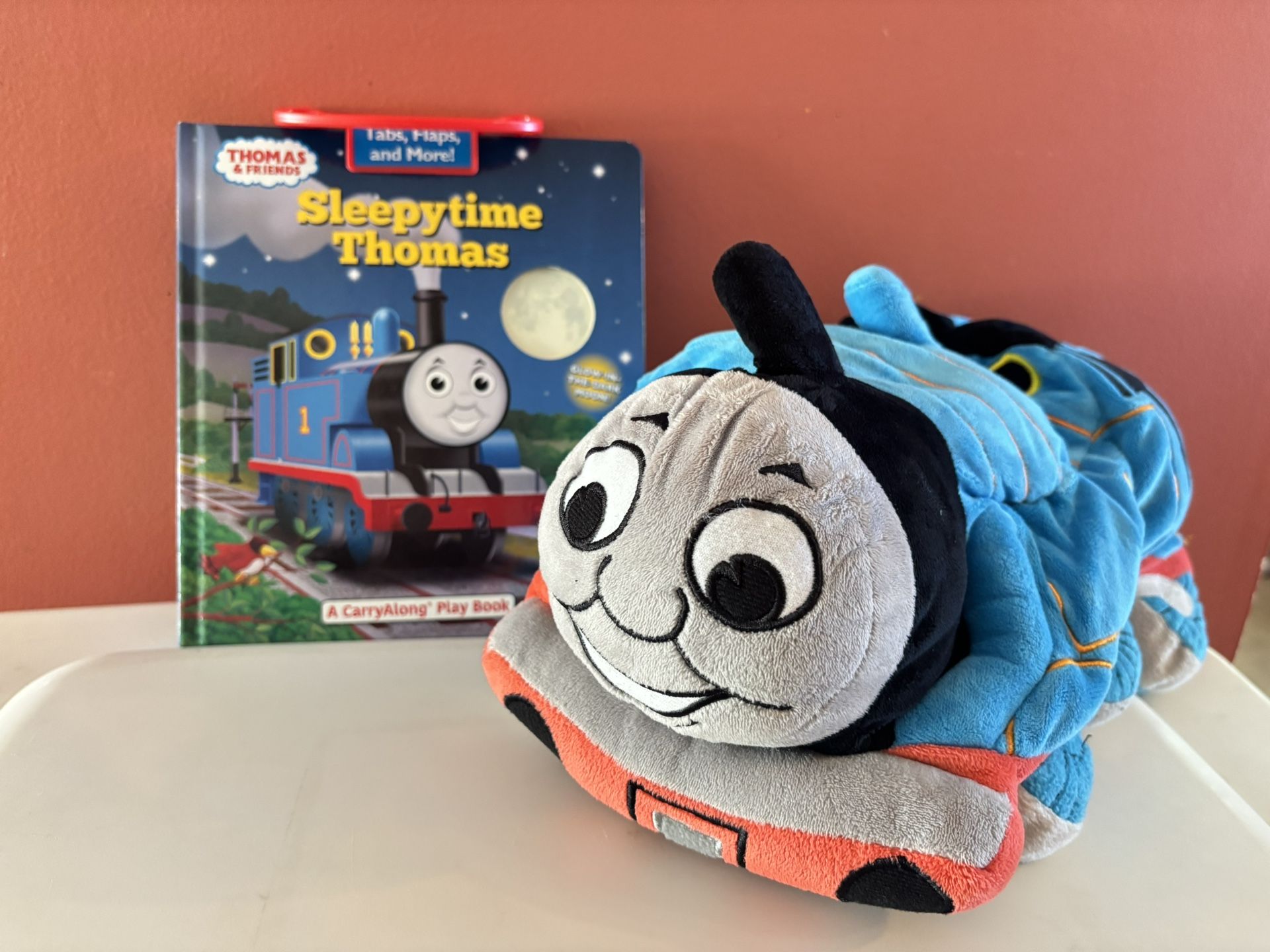 Thomas the Train Pillow and book